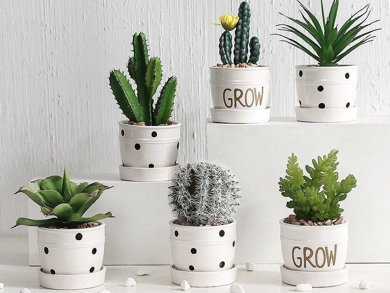 tặng quà cho cô giáo mầm non